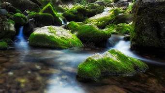 流水潺潺的意思解释_流水潺潺的意思解释词语