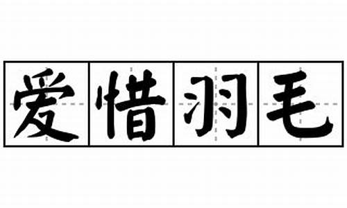 爱惜羽毛_爱惜羽毛什么意思