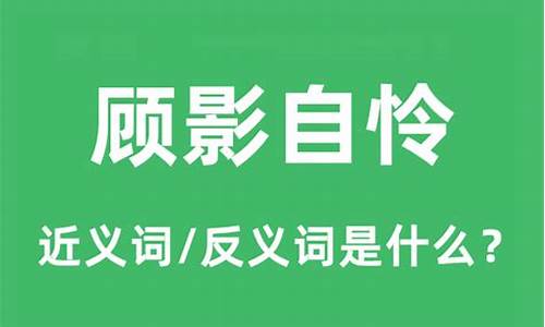 顾影自怜的近义词和反义词_顾影自怜的近义词和反义词是什么